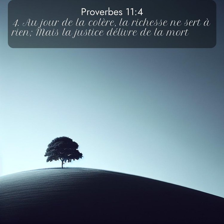 Segond Proverbes 11:4