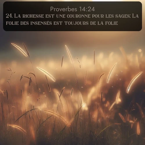 Segond Proverbes  ; image nature: image avec le verset biblique :La richesse est une couronne pour les sages; La folie des insensés est toujours de la folie. ;  ; 14:24