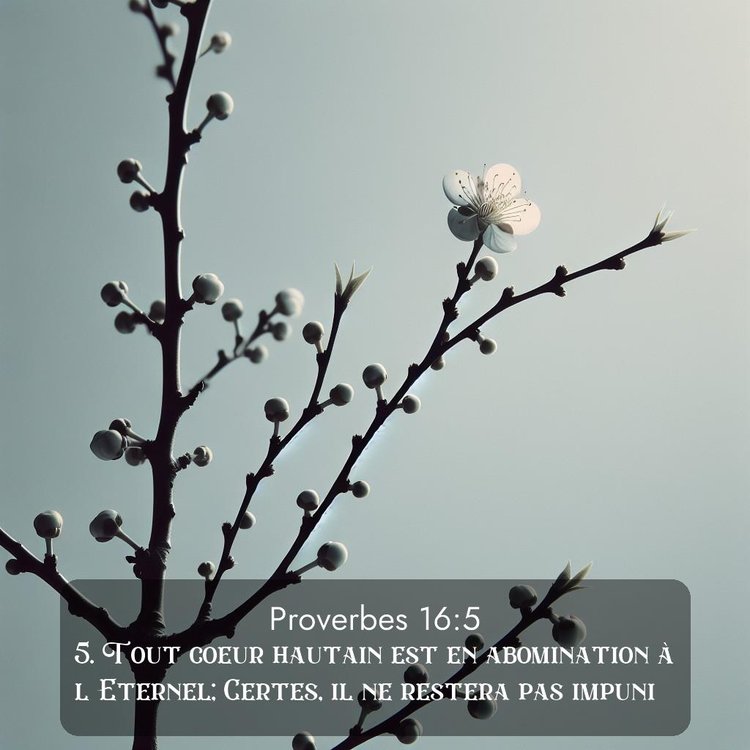 image nature avec verset biblique de la Bible