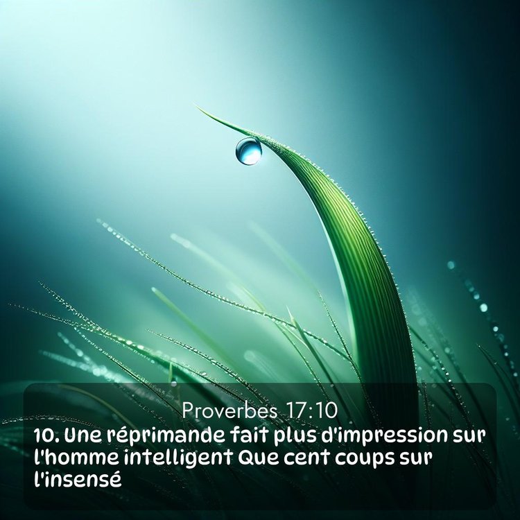 Segond Proverbes 17:10