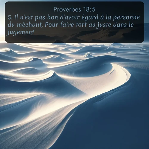 Segond Proverbes  ; image nature: image avec le verset biblique :Il n&#039;est pas bon d&#039;avoir égard à la personne du méchant, Pour faire tort au juste dans le jugement. ;  ; 18:5