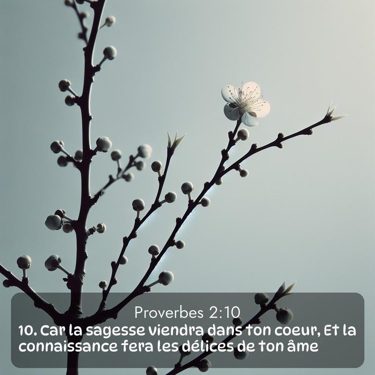 image nature avec verset biblique de la Bible