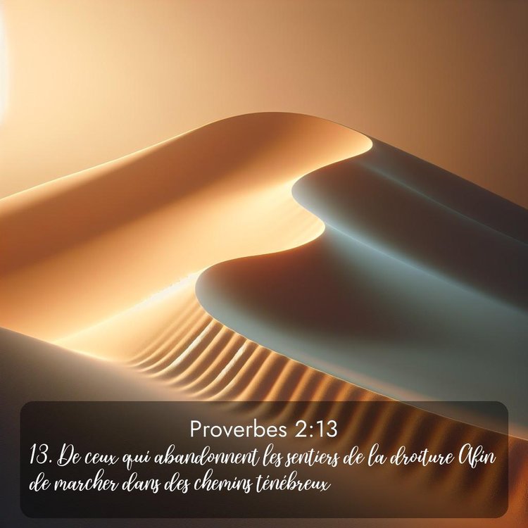 Segond Proverbes 2:13