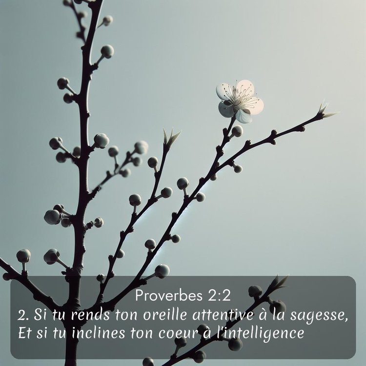 image nature avec verset biblique de la Bible
