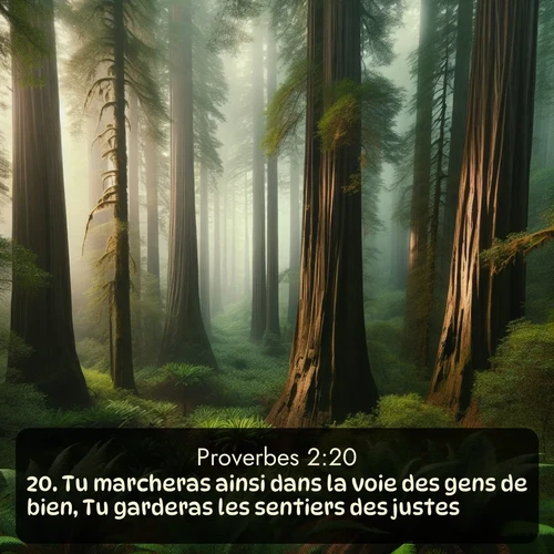 Segond Proverbes  ; image nature: image avec le verset biblique :Tu marcheras ainsi dans la voie des gens de bien, Tu garderas les sentiers des justes. ;  ; 2:20