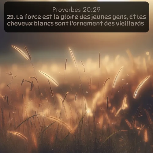 Segond Proverbes  ; image nature: image avec le verset biblique :La force est la gloire des jeunes gens, Et les cheveux blancs sont l&#039;ornement des vieillards. ;  ; 20:29