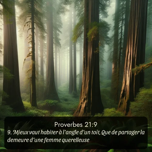 Segond Proverbes  ; image nature: image avec le verset biblique :Mieux vaut habiter à l&#039;angle d&#039;un toit, Que de partager la demeure d&#039;une femme querelleuse. ;  ; 21:9