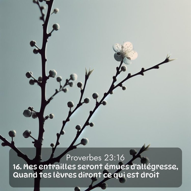 image nature avec verset biblique de la Bible