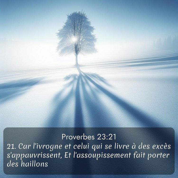 Segond Proverbes 23:21