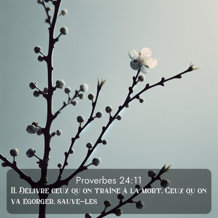 image nature avec verset biblique de la Bible