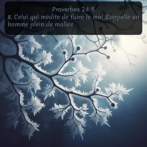 Segond Proverbes  ; image nature: image avec le verset biblique :Celui qui médite de faire le mal S&#039;appelle un homme plein de malice. ;  ; 24:8