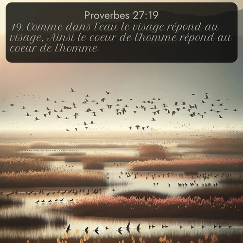 Segond Proverbes  ; image nature: image avec le verset biblique :Comme dans l&#039;eau le visage répond au visage, Ainsi le coeur de l&#039;homme répond au coeur de l&#039;homme. ;  ; 27:19