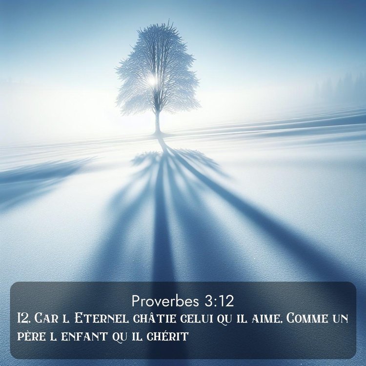 Segond Proverbes 3:12