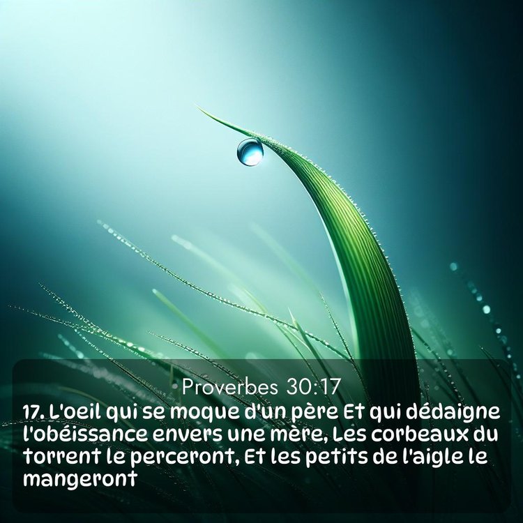 image nature avec verset biblique de la Bible