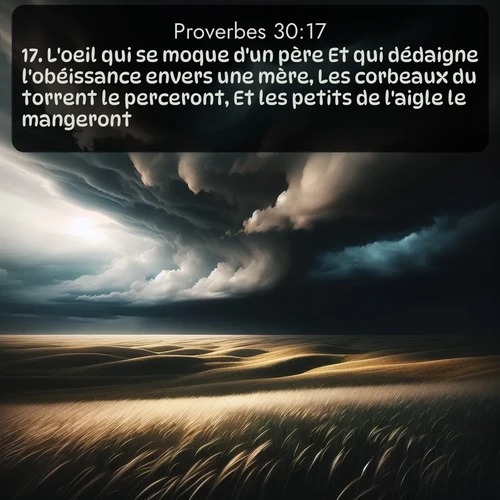 Segond Proverbes  ; image nature: image avec le verset biblique :L&#039;oeil qui se moque d&#039;un père Et qui dédaigne l&#039;obéissance envers une mère, Les corbeaux du torrent le perceront, Et les petits de l&#039;aigle le mangeront. ;  ; 30:17