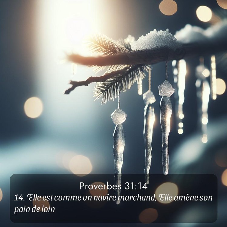 Segond Proverbes 31:14