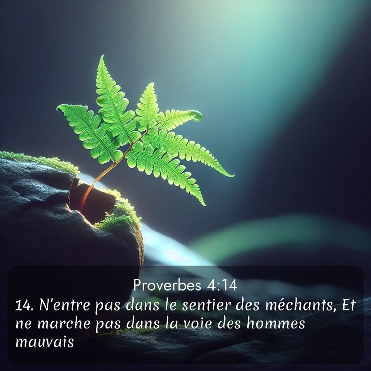 Segond Proverbes 4:14