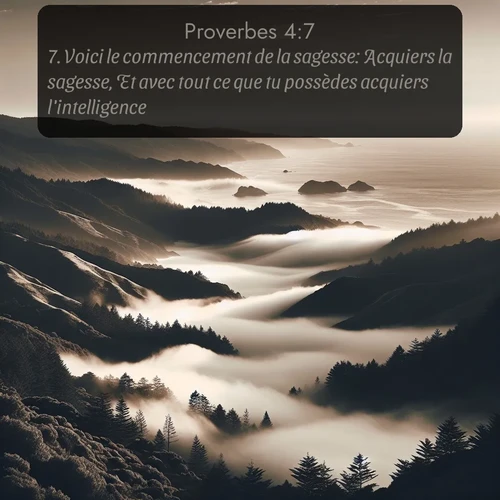 Segond Proverbes  ; image nature: image avec le verset biblique :Voici le commencement de la sagesse: Acquiers la sagesse, Et avec tout ce que tu possèdes acquiers l&#039;intelligence. ;  ; 4:7