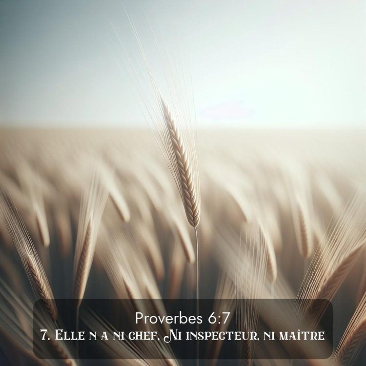 Segond Proverbes 6:7