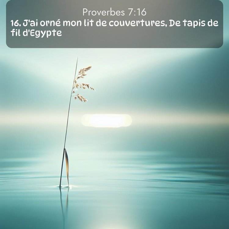 Segond Proverbes 7:16