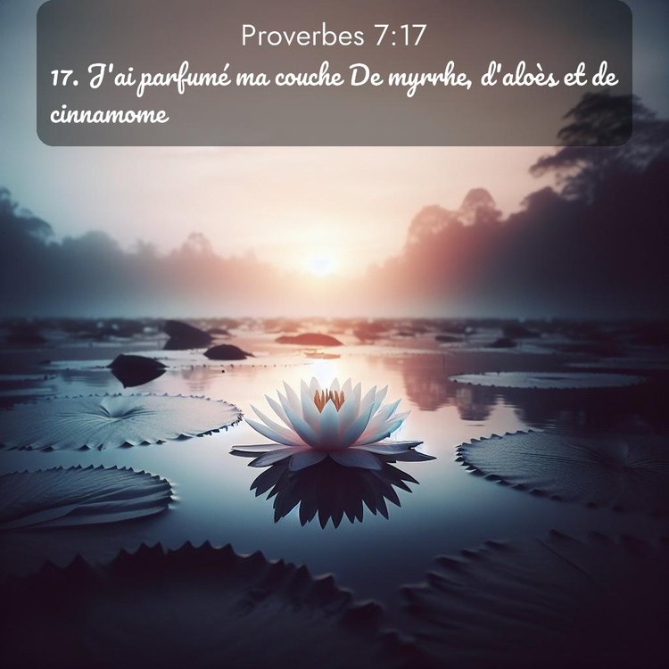 Segond Proverbes 7:17