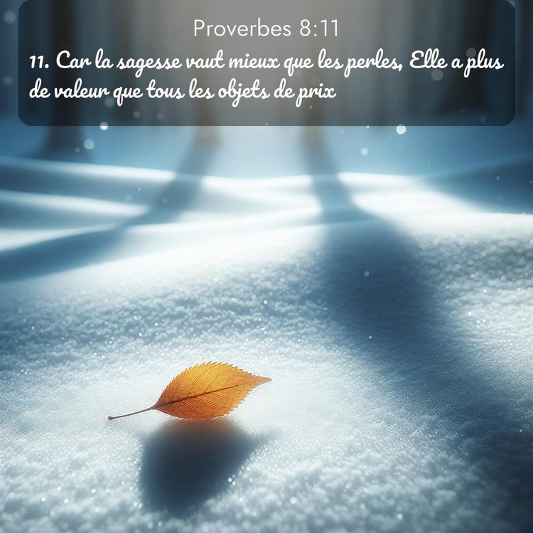 Segond Proverbes 8:11