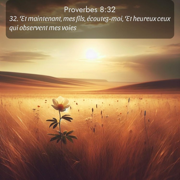 Segond Proverbes 8:32