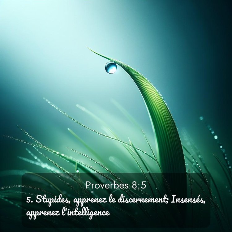 image nature avec verset biblique de la Bible