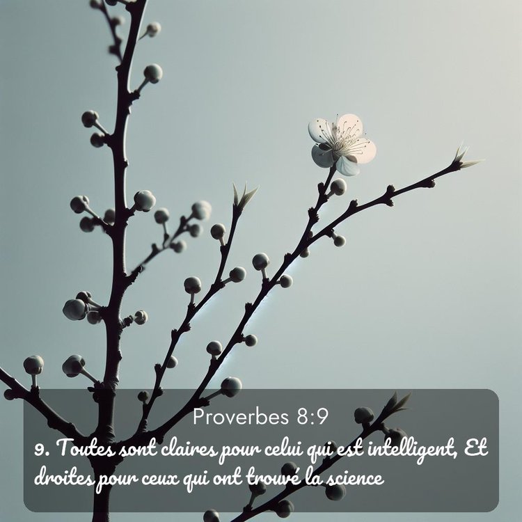 image nature avec verset biblique de la Bible
