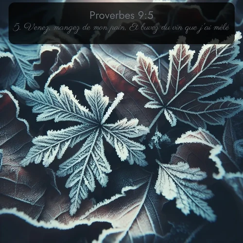 Segond Proverbes  ; image nature: image avec le verset biblique :Venez, mangez de mon pain, Et buvez du vin que j&#039;ai mêlé; ;  ; 9:5