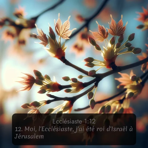 Segond Ecclésiaste  ; image nature: image avec le verset biblique :Moi, l&#039;Ecclésiaste, j&#039;ai été roi d&#039;Israël à Jérusalem. ;  ; 1:12