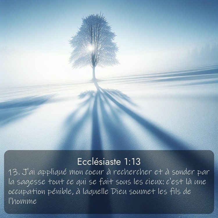 Segond Ecclésiaste 1:13