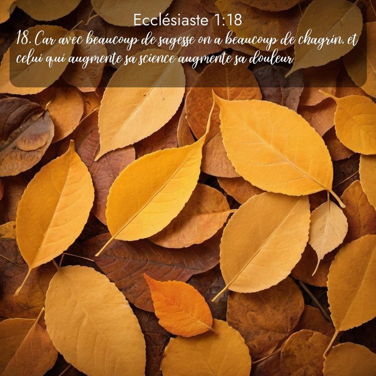 Segond Ecclésiaste 1:18