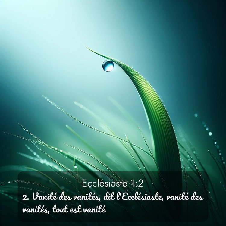 Segond Ecclésiaste 1:2