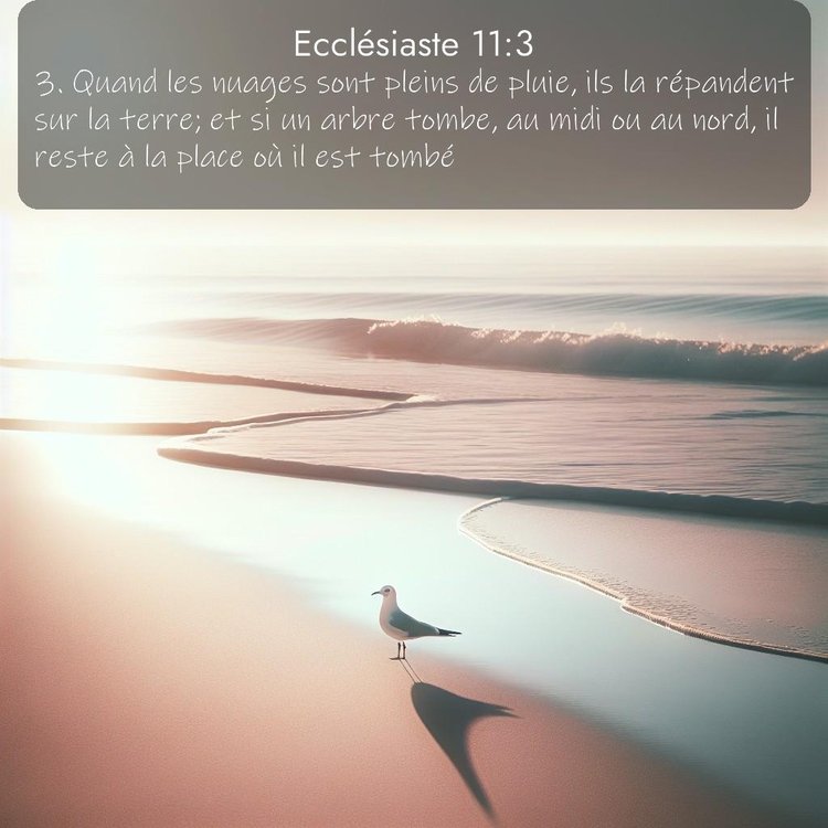 image nature avec verset biblique de la Bible
