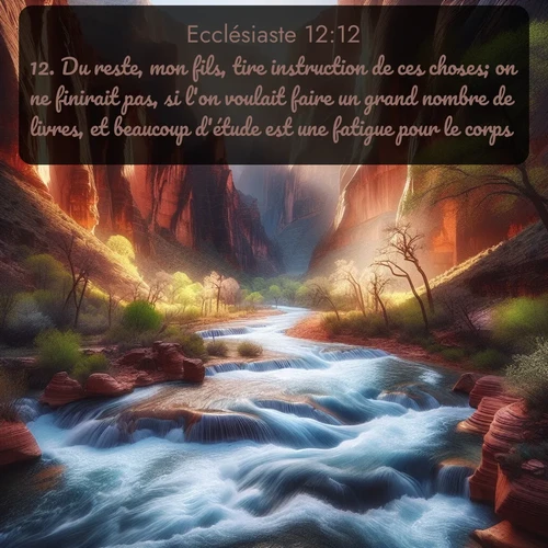 Segond Ecclésiaste  ; image nature: image avec le verset biblique :Du reste, mon fils, tire instruction de ces choses; on ne finirait pas, si l&#039;on voulait faire un grand nombre de livres, et beaucoup d&#039;étude est une fatigue pour le corps. ;  ; 12:12