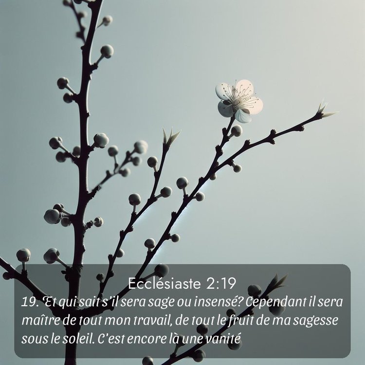 Segond Ecclésiaste 2:19