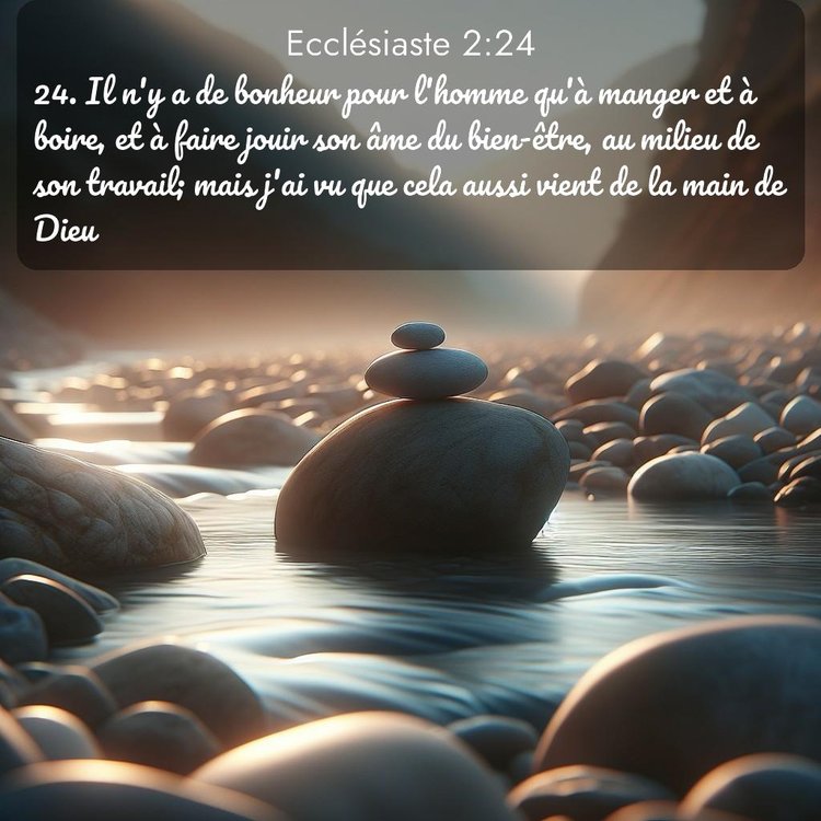 Segond Ecclésiaste 2:24