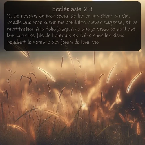 Segond Ecclésiaste  ; image nature: image avec le verset biblique :Je résolus en mon coeur de livrer ma chair au vin, tandis que mon coeur me conduirait avec sagesse, et de m&#039;attacher à la folie jusqu&#039;à ce que je visse ce qu&#039;il est bon pour les fils de l&#039;homme de faire sous les cieux pendant le nombre des jours de leur vie. ;  ; 2:3
