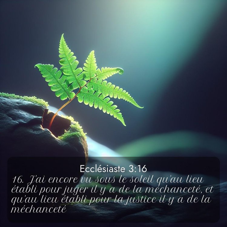 Segond Ecclésiaste 3:16