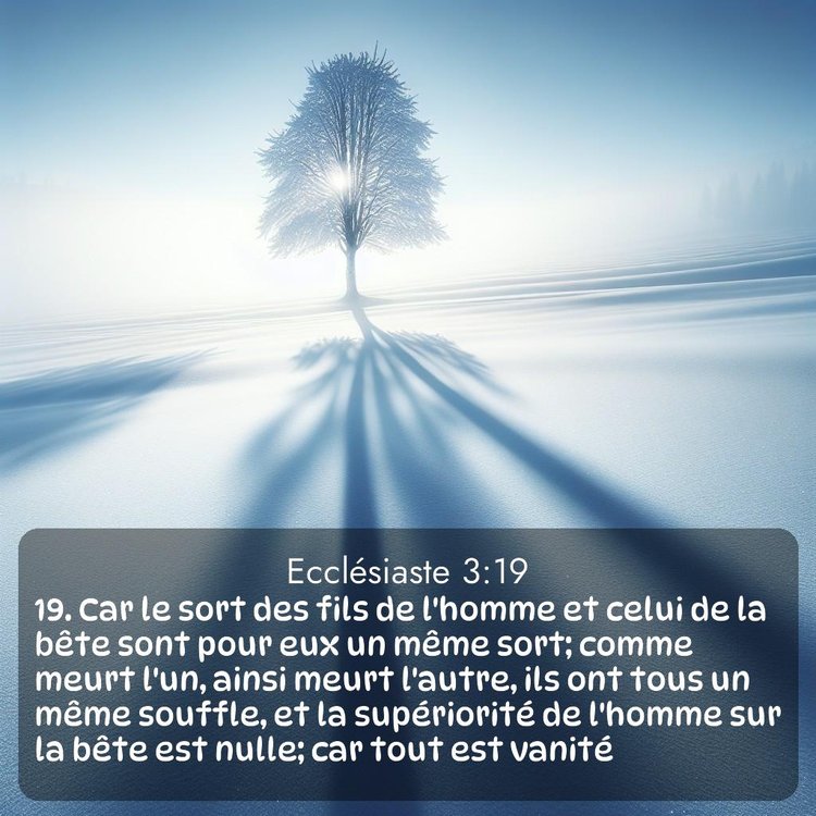 Segond Ecclésiaste 3:19