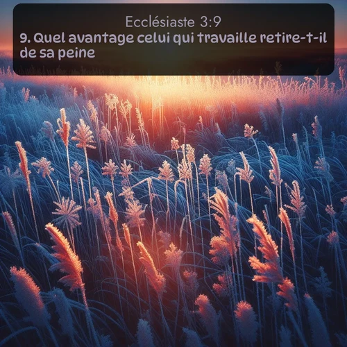 Segond Ecclésiaste  ; image nature: image avec le verset biblique :Quel avantage celui qui travaille retire-t-il de sa peine? ;  ; 3:9