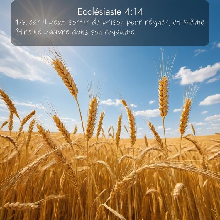 Segond Ecclésiaste 4:14