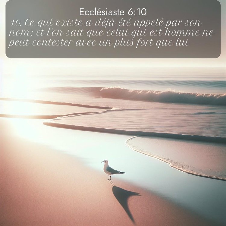 Segond Ecclésiaste 6:10