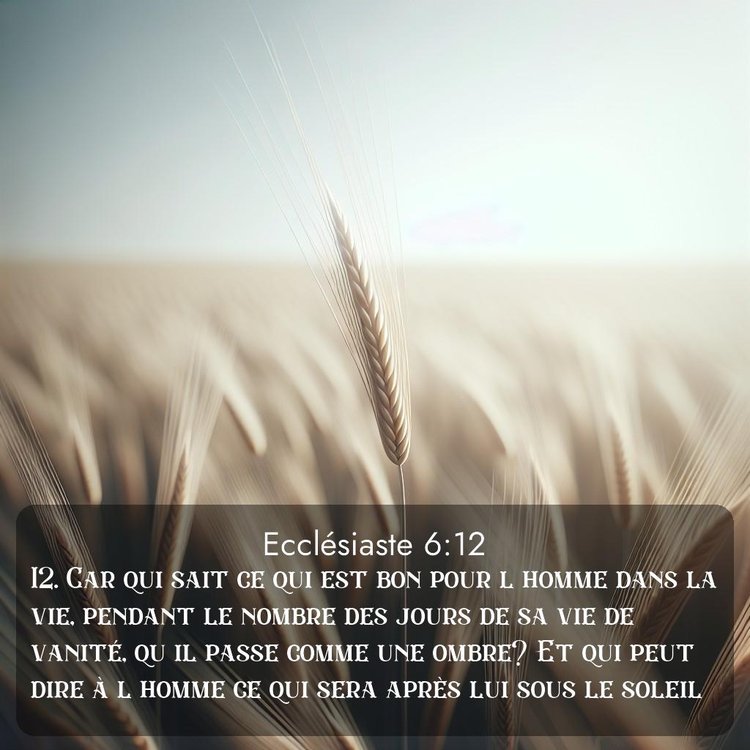 Segond Ecclésiaste 6:12