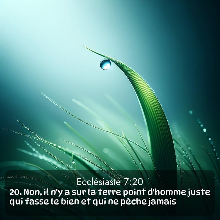 Segond Ecclésiaste 7:20