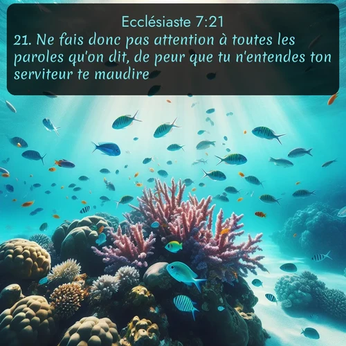 Segond Ecclésiaste  ; image nature: image avec le verset biblique :Ne fais donc pas attention à toutes les paroles qu&#039;on dit, de peur que tu n&#039;entendes ton serviteur te maudire; ;  ; 7:21