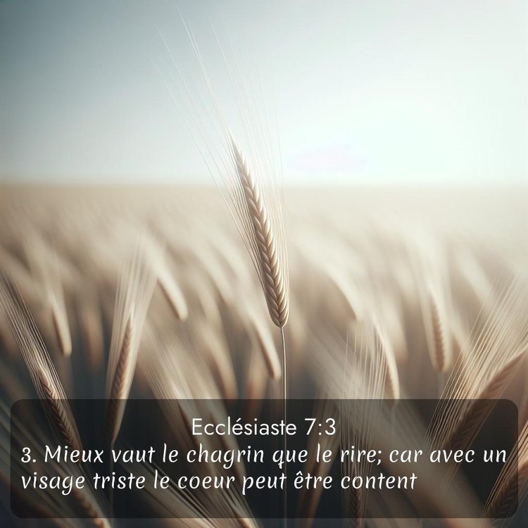 Segond Ecclésiaste 7:3