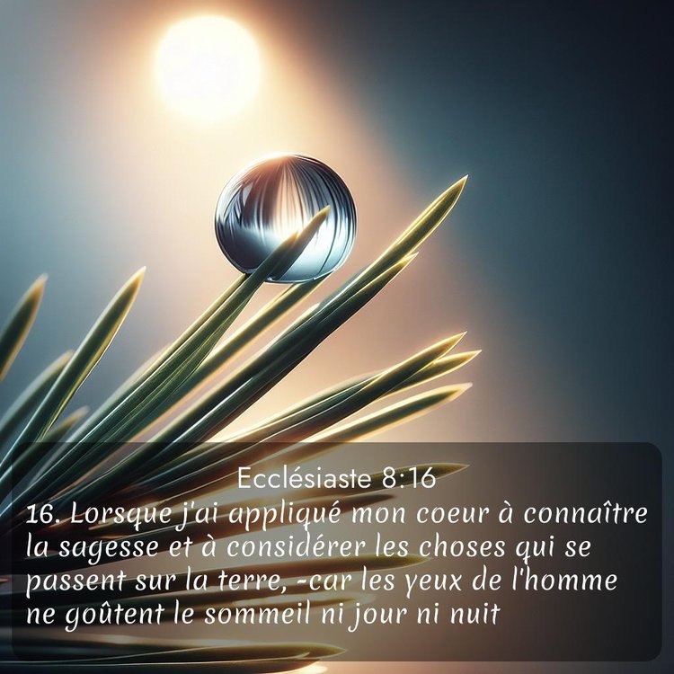 image nature avec verset biblique de la Bible