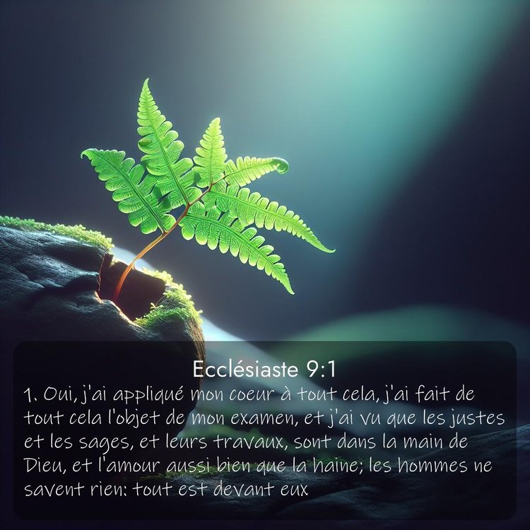 Segond Ecclésiaste 9:1